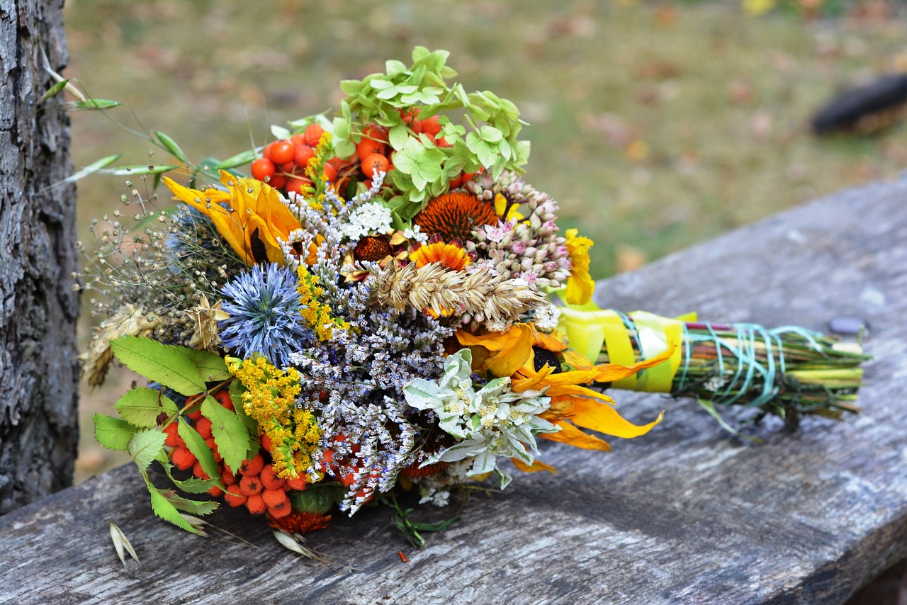 Best Companion Plants for a Healthy Garden
